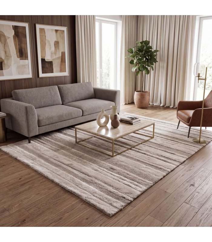 Tapete de sala numa sala de estar moderna